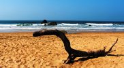 Agonda Beach – Goa, India