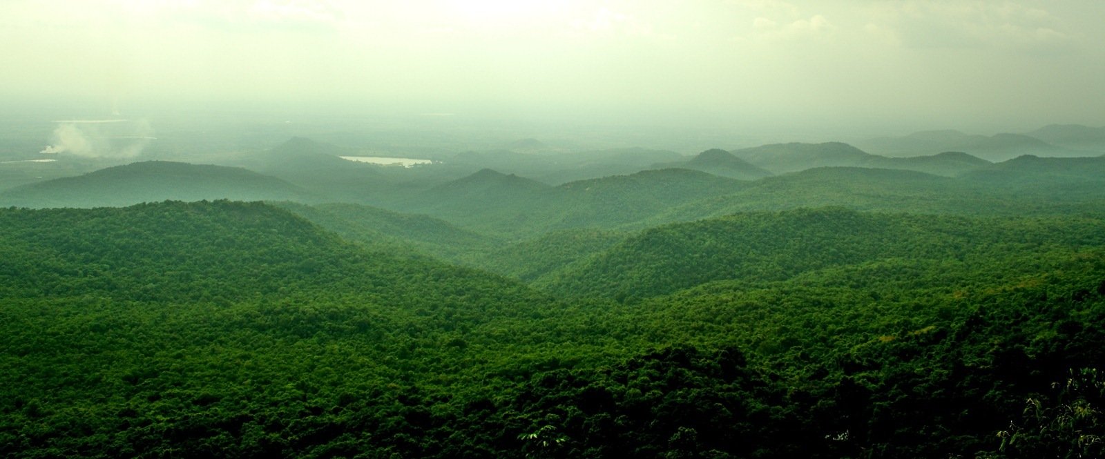 B-R-hills-wild-sanctuary