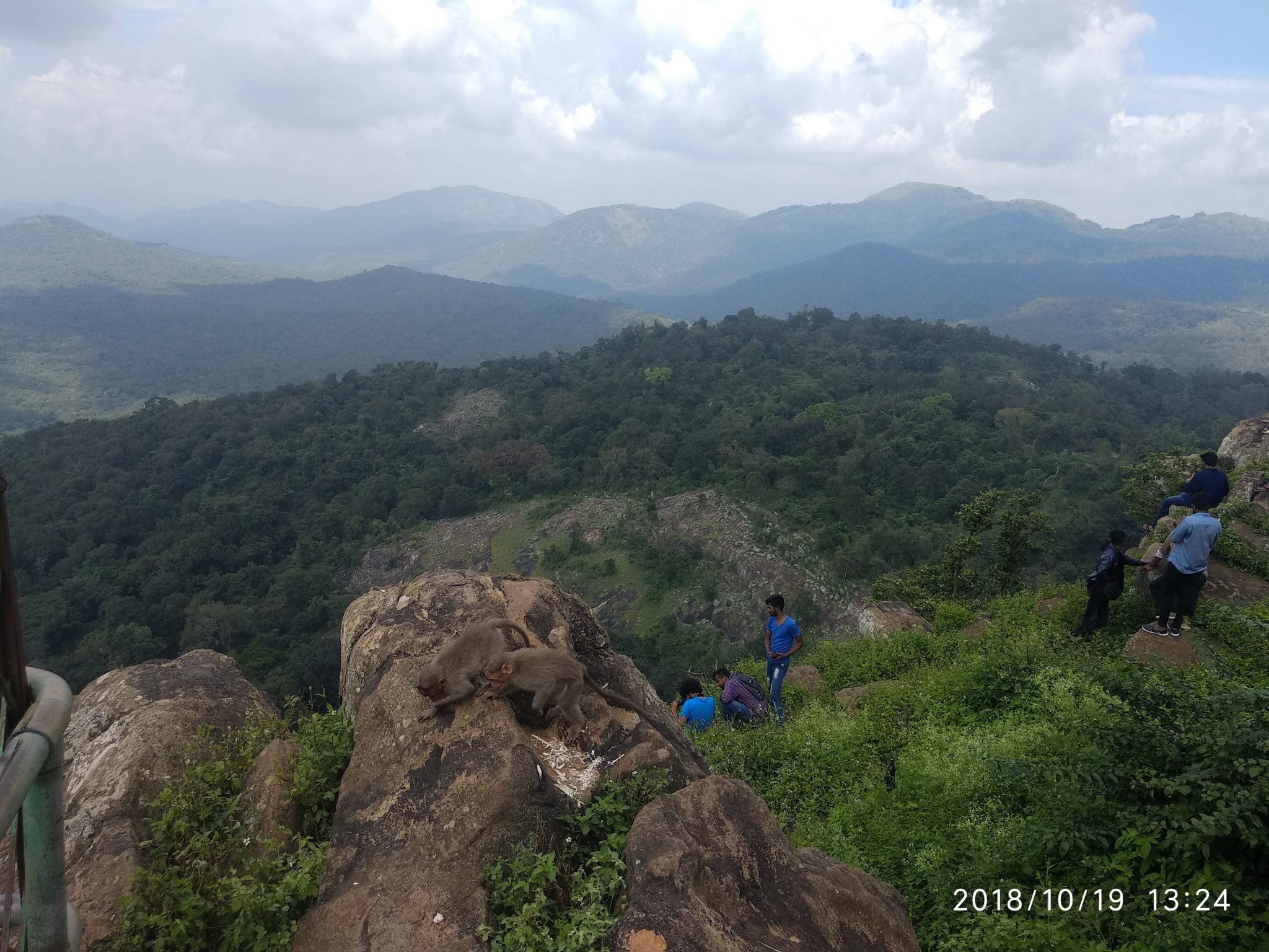 Biligiriranga Hills, Karnataka, India
