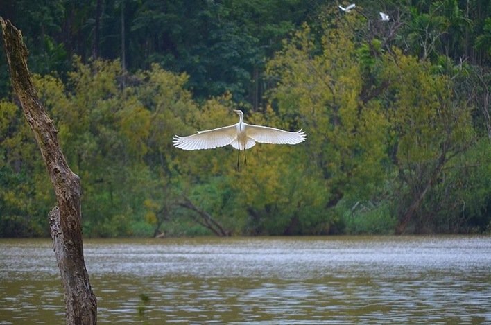 Mandagadde Bird Sanctuary 2