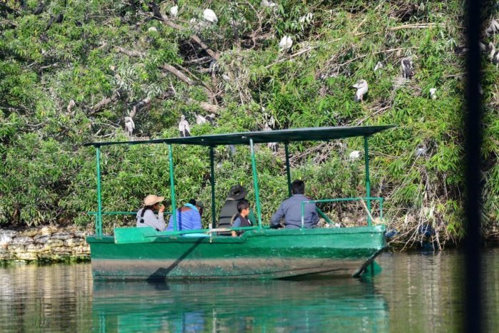 Ranganathittu-Bird-Sanctuary-Srirangapattana 1