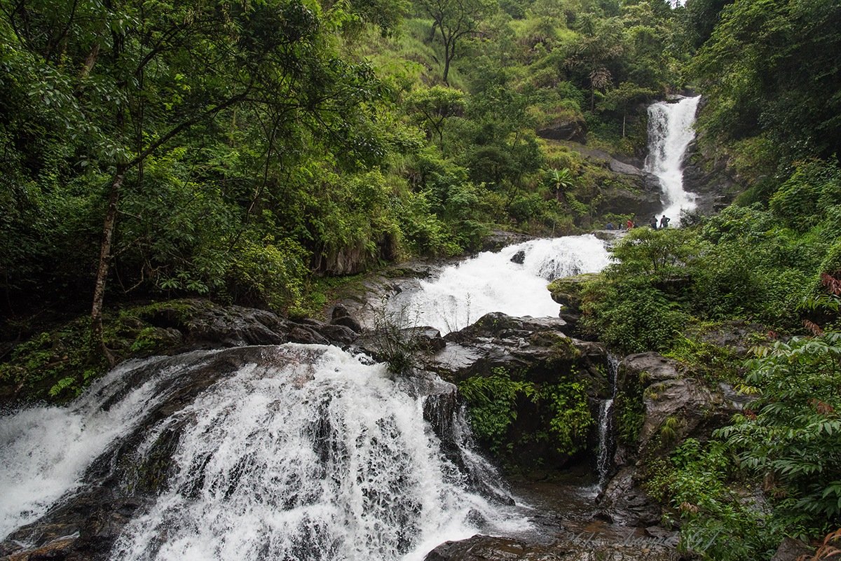 Iruppu Falls, Madikeri, Karnataka