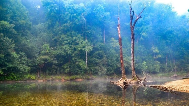 Kudremukha National Park, Karnataka