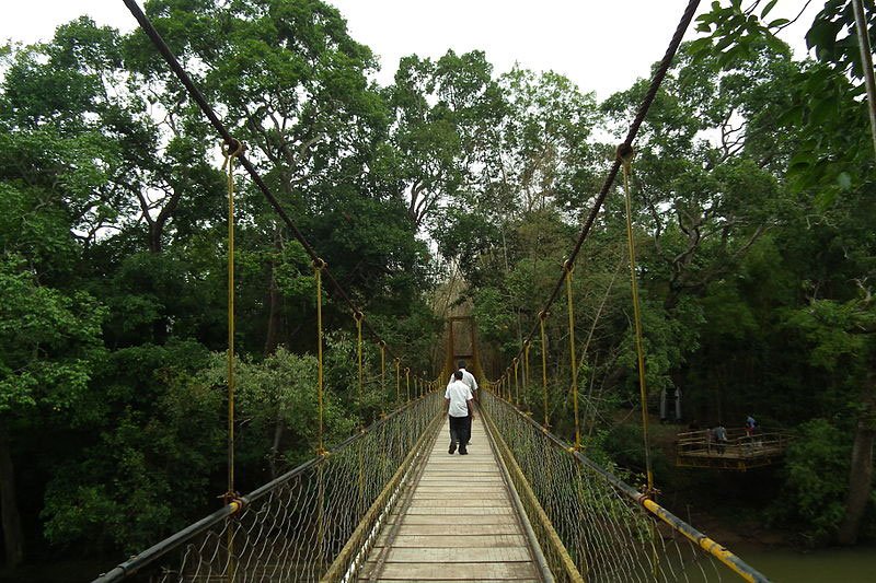 kaveri nisargadhama, coorg