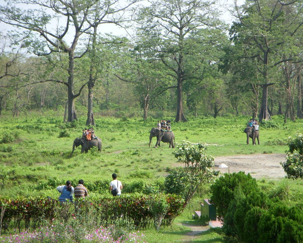 Best Tourist Places in Jaldapara, Uttar Madarihat