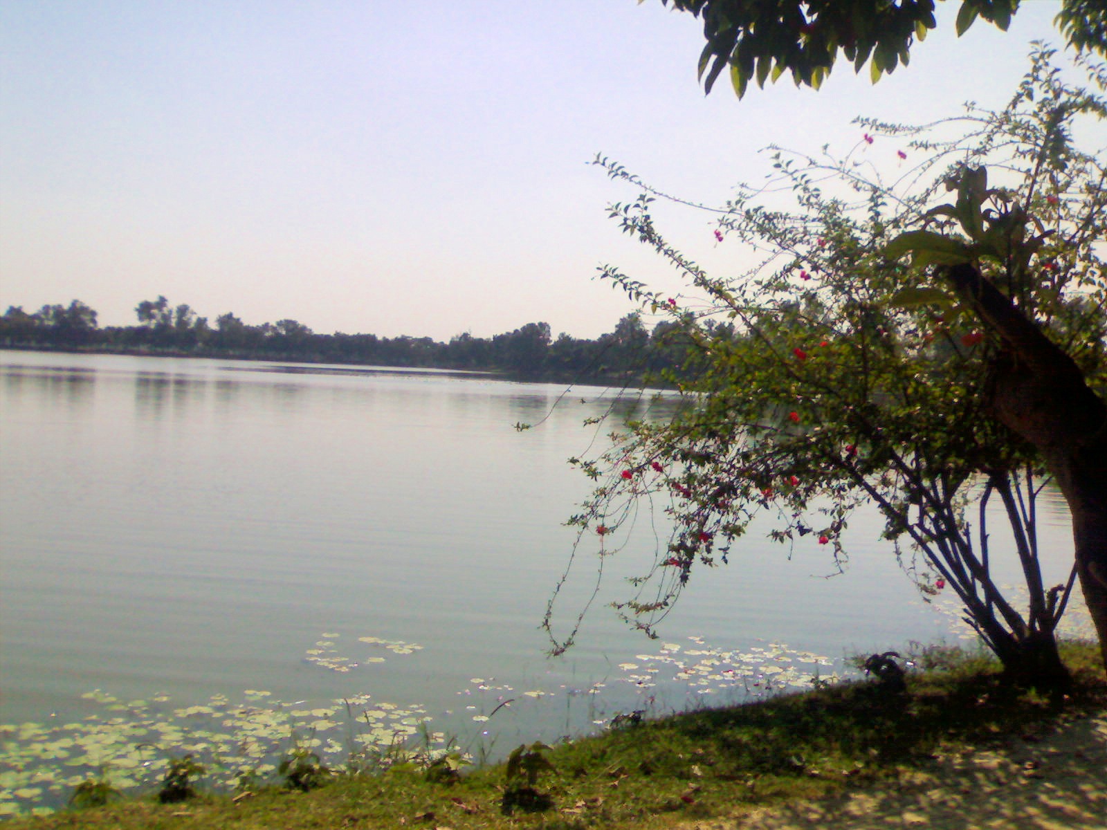 Bangladesh Nilsagar Dighi Pond