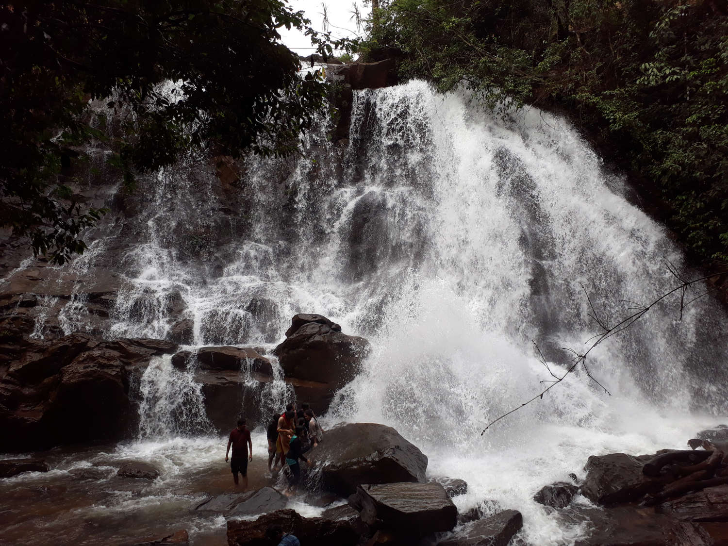 Sirimane Falls, Sringeri, Chikkamagaluru