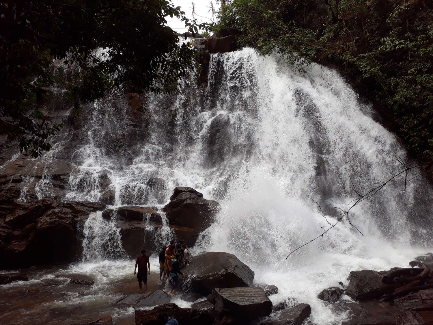 Sirimane Falls, Sringeri, Chikkamagaluru