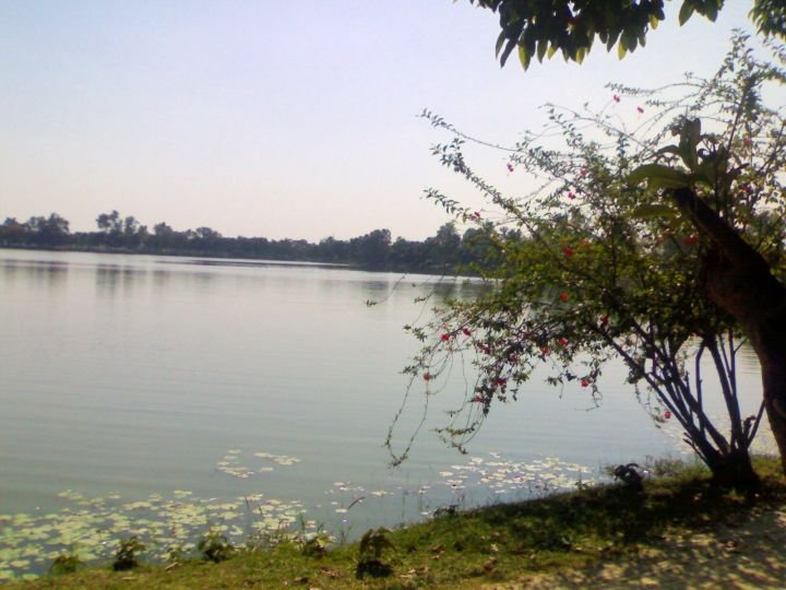 Bangladesh-Nilsagar-Dighi-Pond.jpg